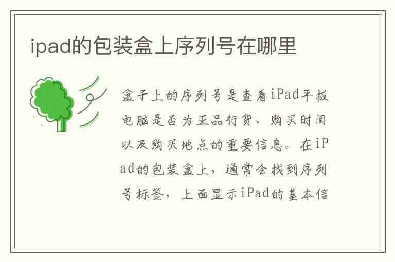 ipad的包装盒上序列号在哪里